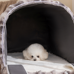 Stylish Minimalist Velvet Anti-Slip Cat and Dog Bed for Home