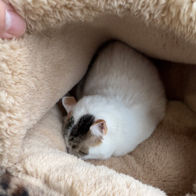 Cozy Round Fleece Plush Pet Bed for Cats and Dogs - Colorful Design